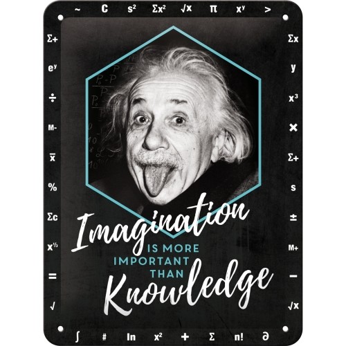 Blechschild 15x20 cm Einstein-Imagination&Knowledge